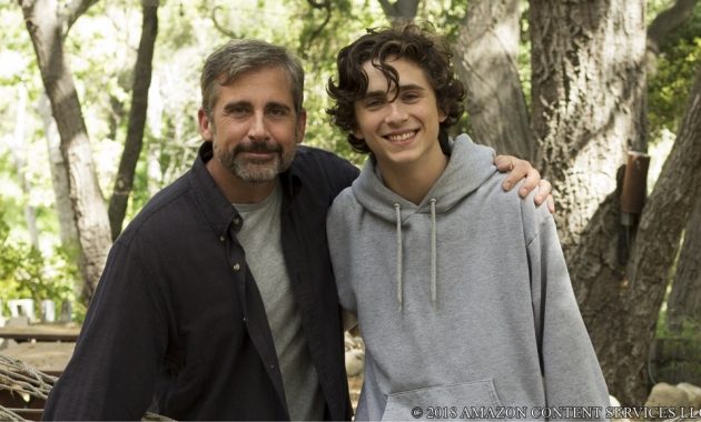【画像】映画『ビューティフル・ボーイ』(Beautiful Boy) メインカット