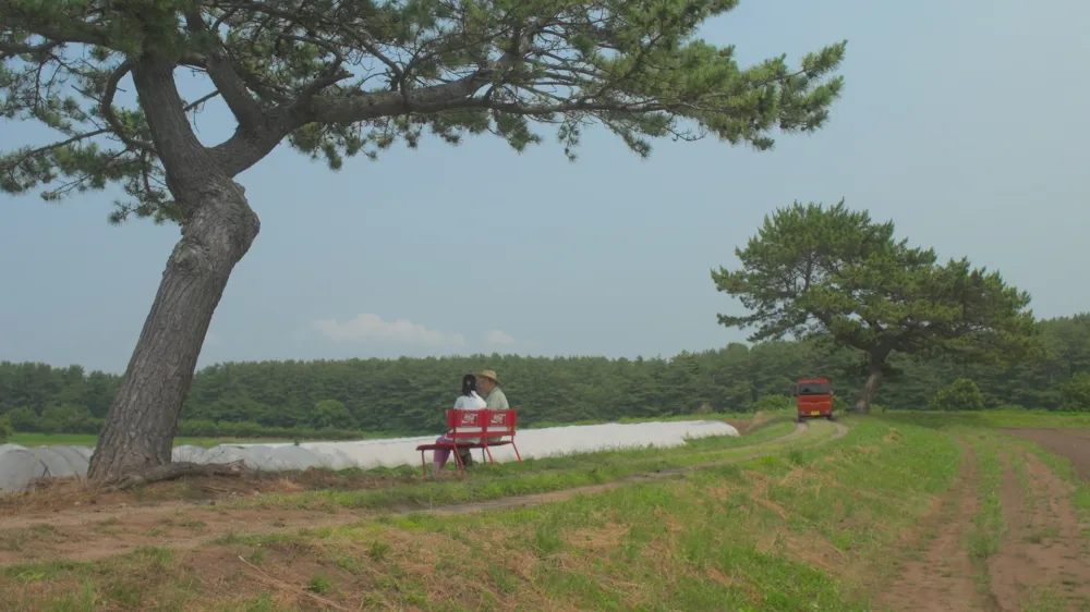 【画像】映画『じっちゃ!』場面カット13