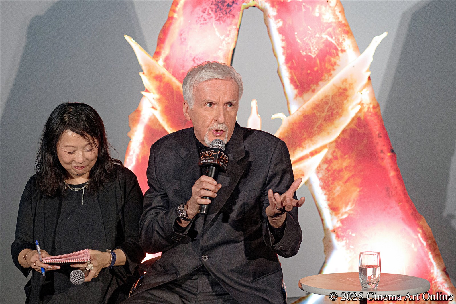 【写真】映画『アバター:ファイヤー・アンド・アッシュ』来日ジャパンプレミア (ジェームズ・キャメロン監督/通訳:大倉美子)