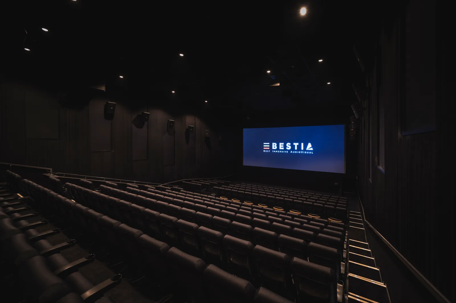 【写真】CINEMA SUNSHIN  (シネマサンシャイン三郷 スクリーン12)