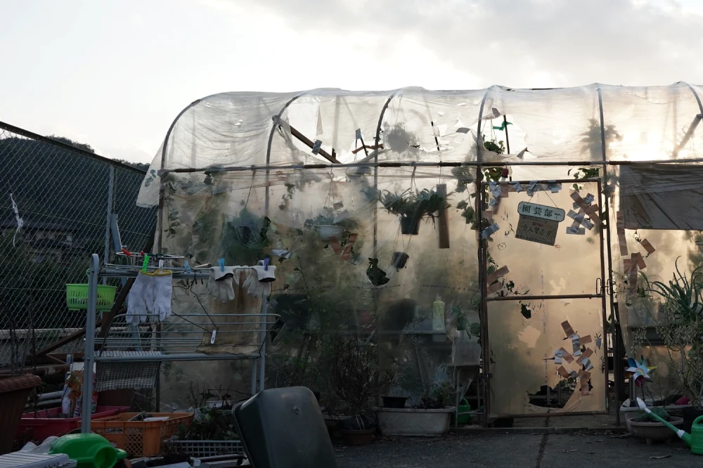 【画像】映画『万事快調〈オール・グリーンズ〉』場面カット (屋上)