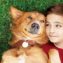 映画『僕のワンダフル・ライフ』(A DOG'S PURPOSE)