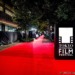 【写真】第35回 東京国際映画祭(TIFF) レッドカーペット